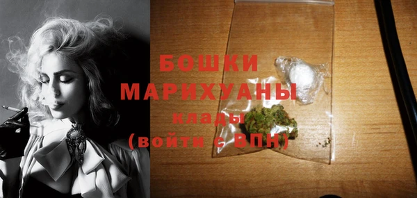 PSILOCYBIN Алексеевка