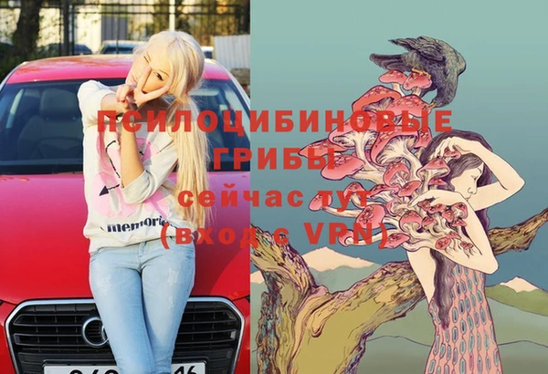 первитин Алексин