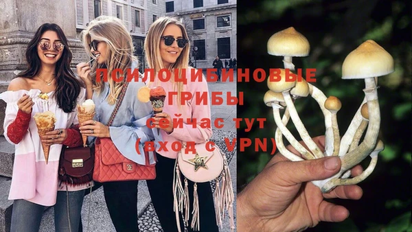прущая мука Абаза